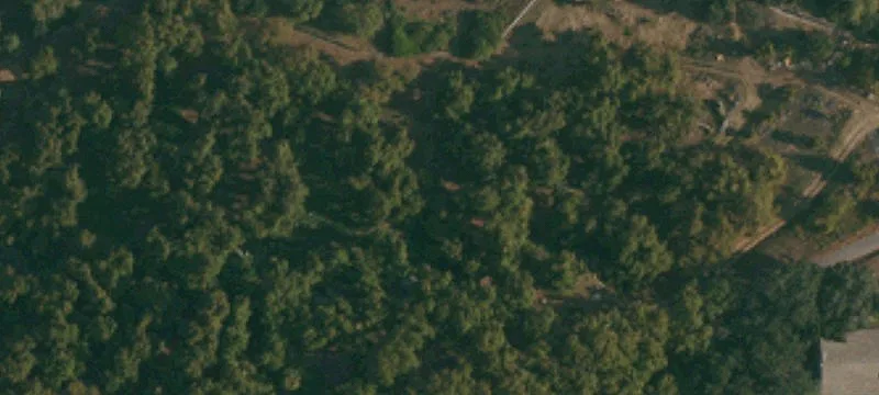 12.80 Acre Organic Avocado Farm