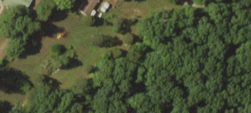 Secluded Timber Land For Sale