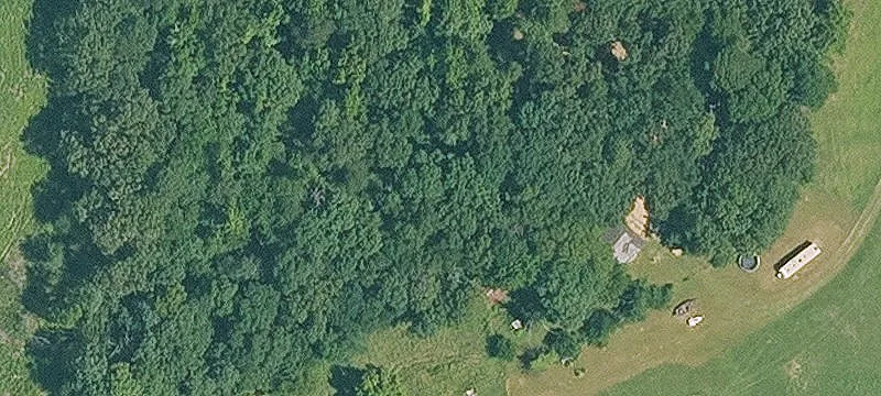 50 Acres Bordering National Forest