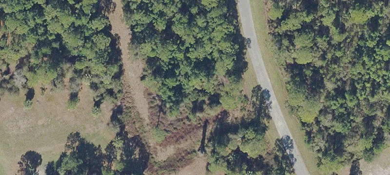 Buildable Lot Near Lake Lochloosa