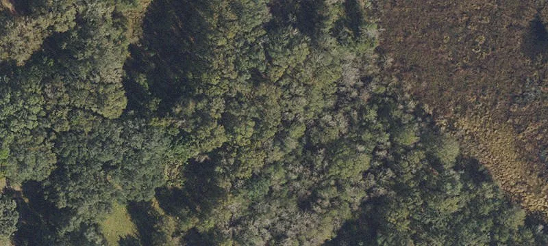 Zephyrhills Development Tract Opportunity