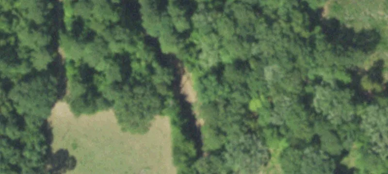 Rusk County Hunting and Recreational Paradise