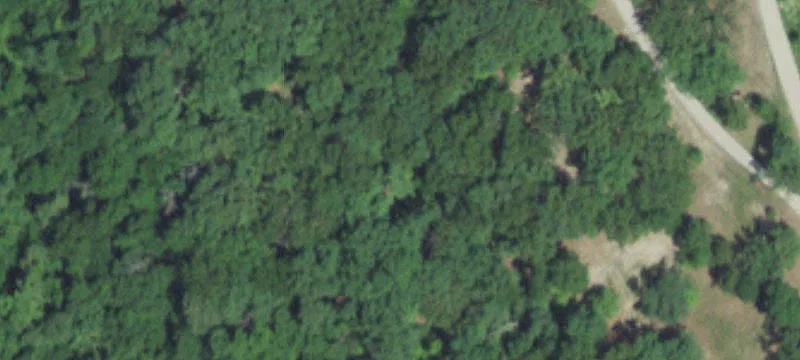 Wooded Land Near Lake with Slip