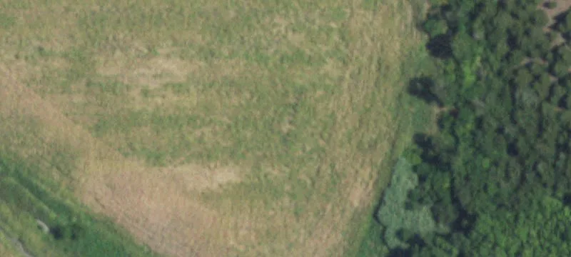 Caddo Mills Land Opportunity