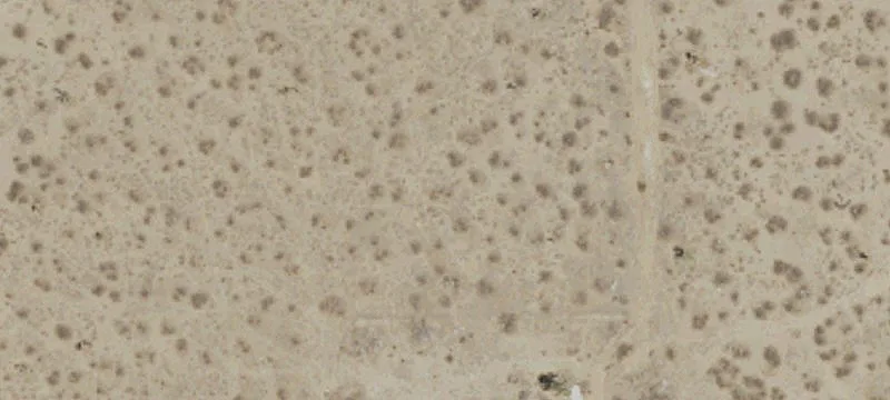 Eighty Acre Lot Available