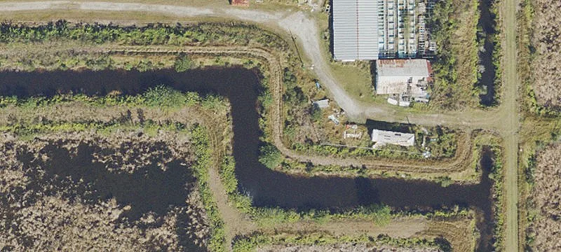 Licensed Barramundi Farming Operation