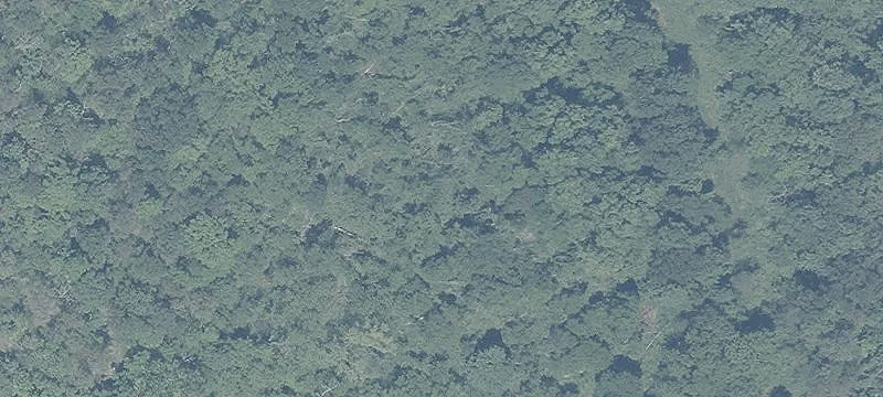 5 Acre Wooded Retreat Site