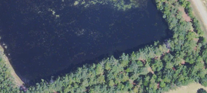 Cleared Land with Pond