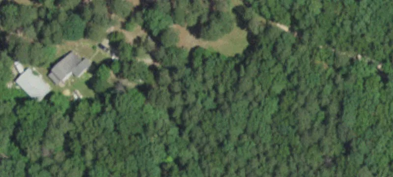 Secluded Timber Ground with Cabin