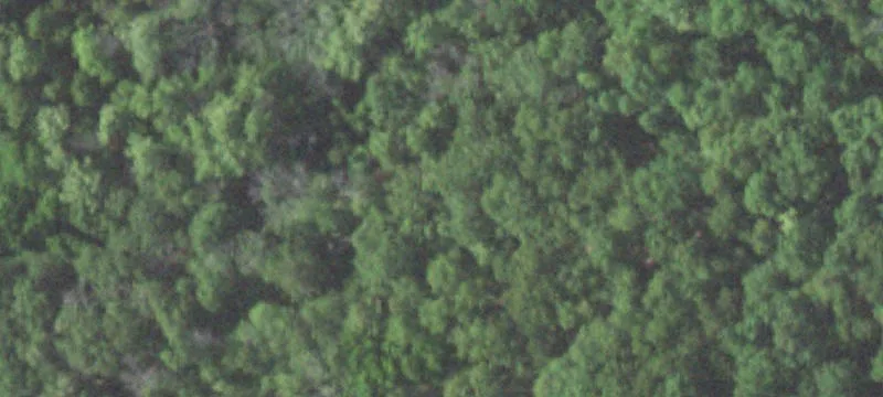 Wooded Acreage Hunting Property