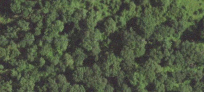 Remote Hunting Land Opportunity