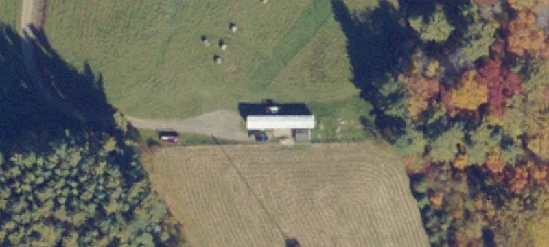 Livestock Farm with Mountain Views