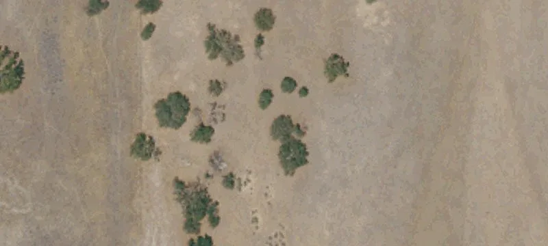 Two Homes on One Lot