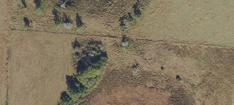 20 Acres Multi-Family Land
