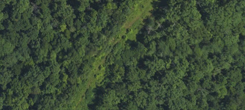 Prestonsburg Office Building For Sale