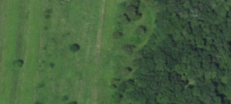 88 Acres of Farmland