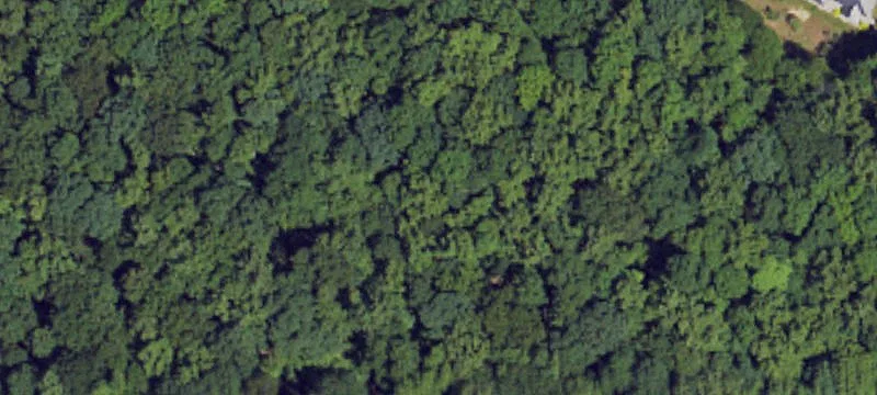 427-Acre Estate: Endless Possibilities