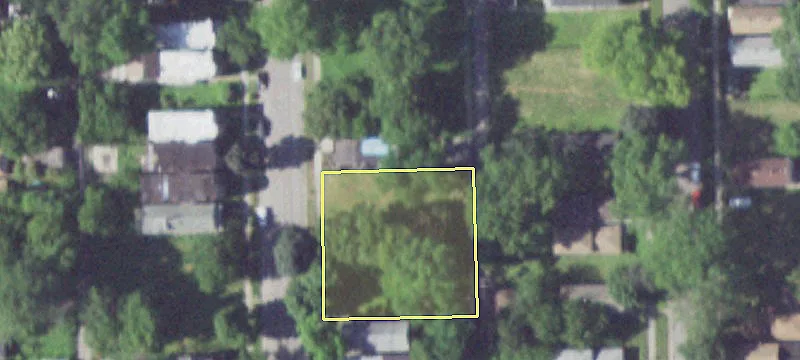 Land in Back of the Yards