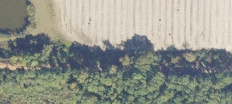 84 Acres with Lake Houses