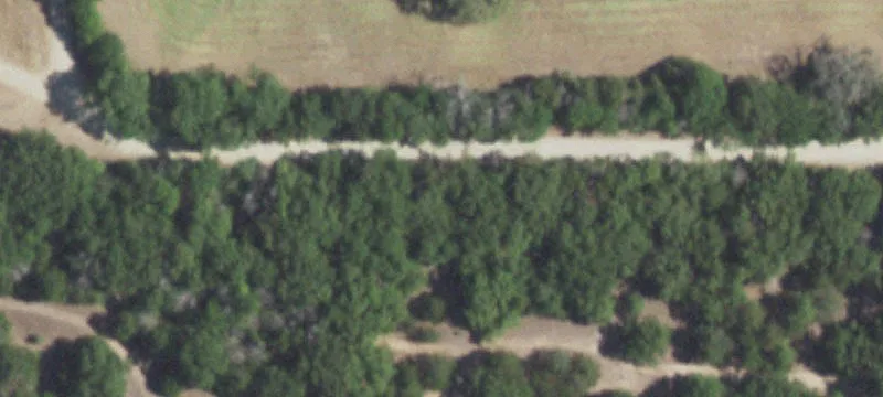 East Texas Land Opportunity