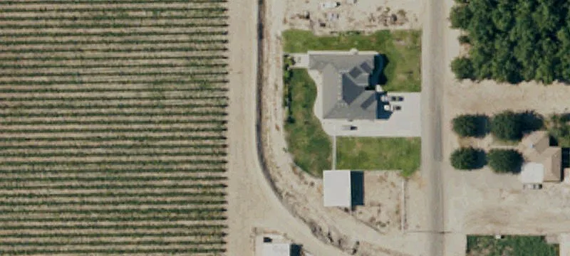 Established Vineyard with Custom Homes