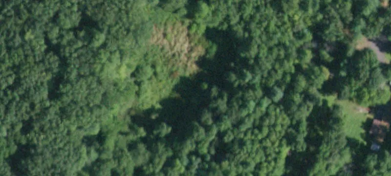 Catskills Land Parcel For Sale