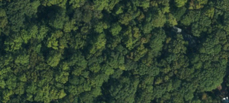 Wooded Lot Near Downtown