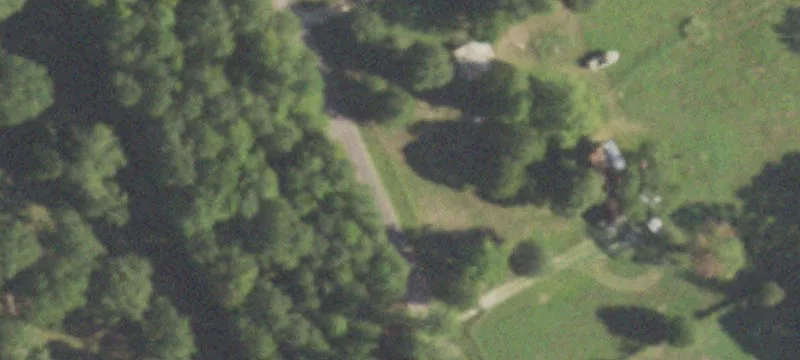 Wooded Acreage Near New Waverly