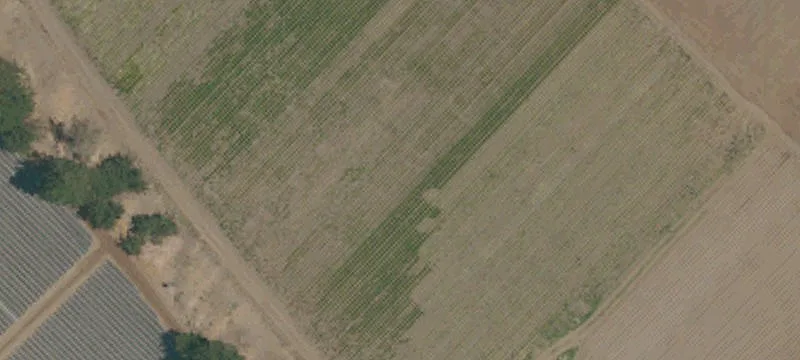 Expansive Greenhouse Property in Watsonville