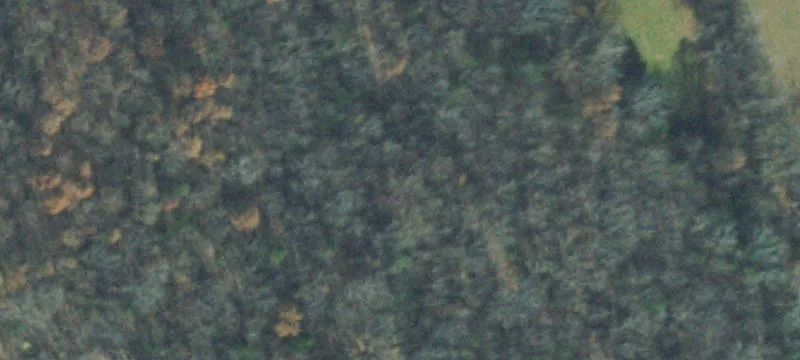 Development Tract in Mt. Juliet