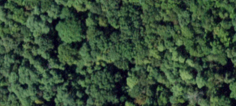 50.3 Acres in Hudson Valley