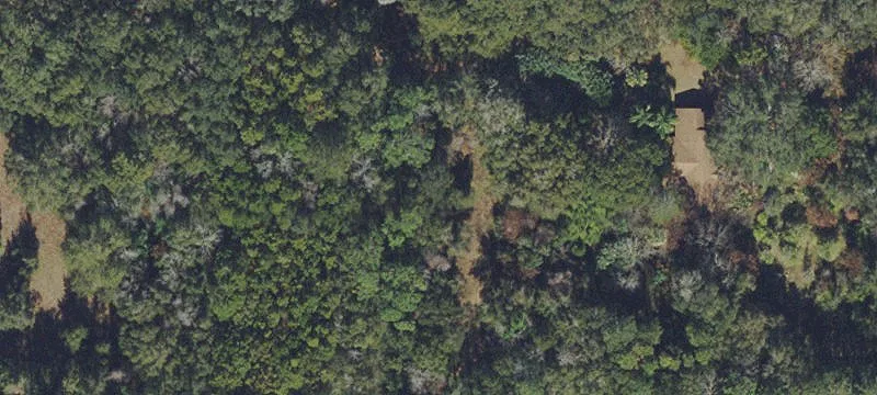 Wildwood Land Corridor Opportunity
