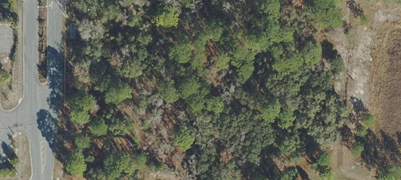 Commercial Land at County Line