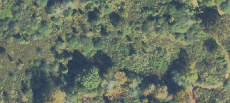 47.88 Acres of Land