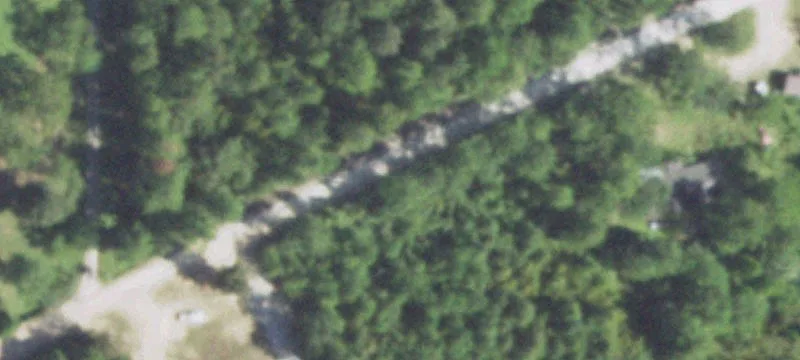 Tyler County Wooded Timber Land