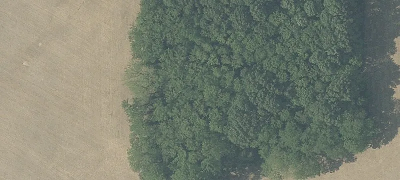 Industrial Land Near Existing Park