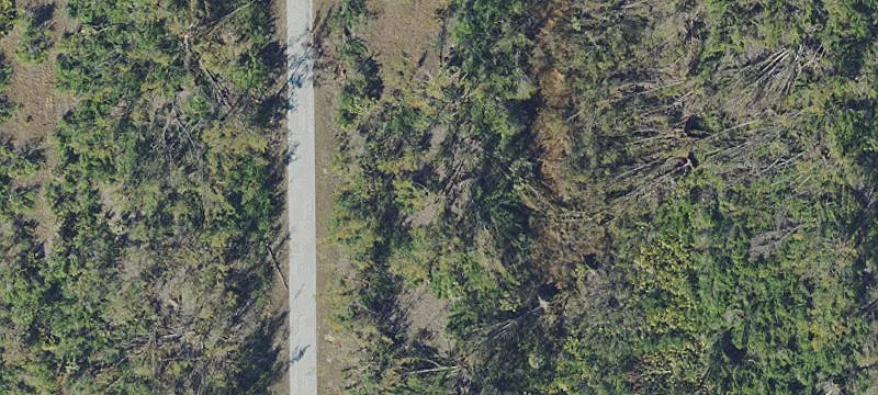 Residential Lot Backing Greenbelt Preserve