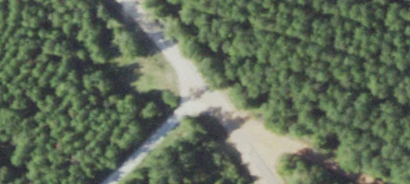 Tyler County Wooded Timber Land