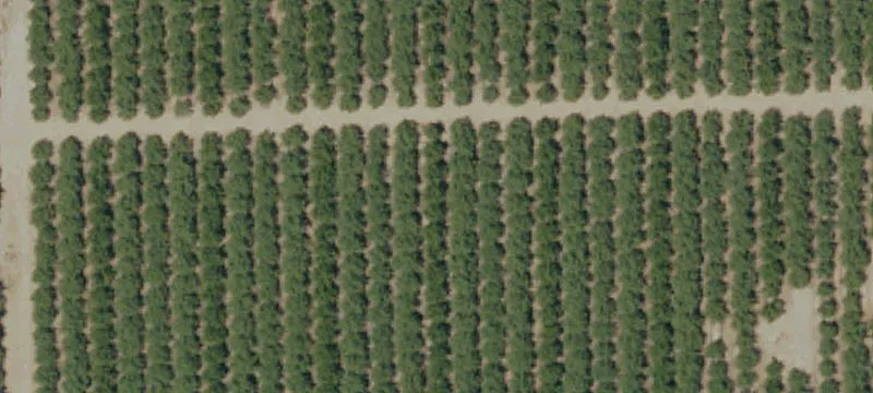 89 Acres Land Assembly