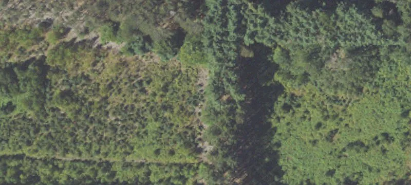 10 Acres Wooded Land Parcel