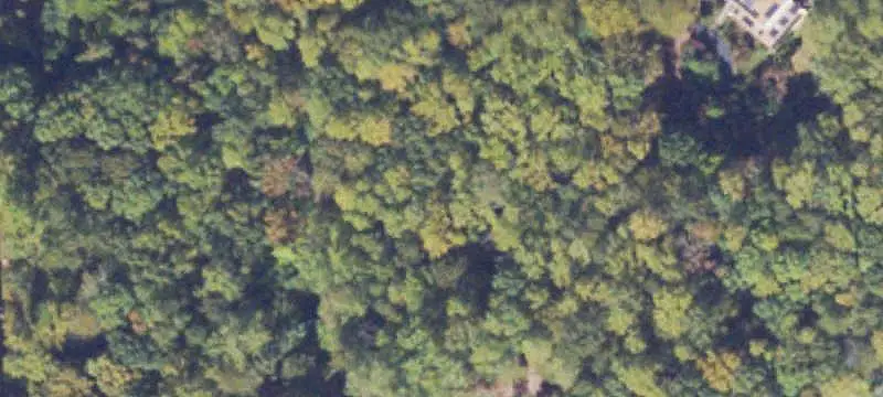 Rare 5-Acre Homesite Parcel