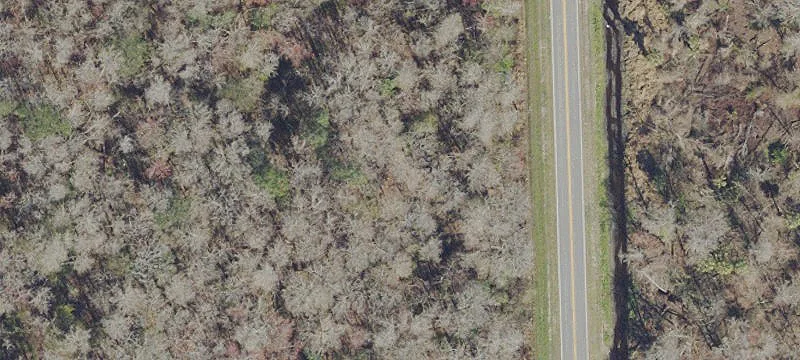 Half-Acre Lot in Bunnell