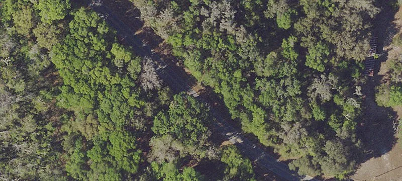 Ocklawaha Waterfront Land Parcel