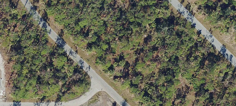 Vacant Lot Near Tamiami Trail