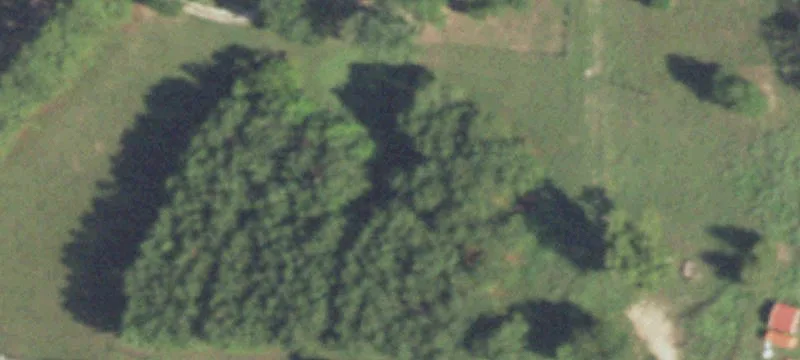 Unrestricted Land on FM 1374
