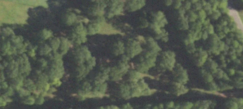 26 Acres Near New Waverly