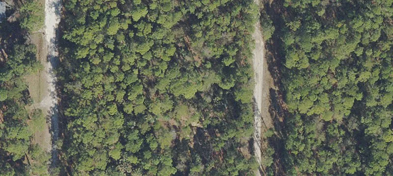 Land in Georgetown, Florida
