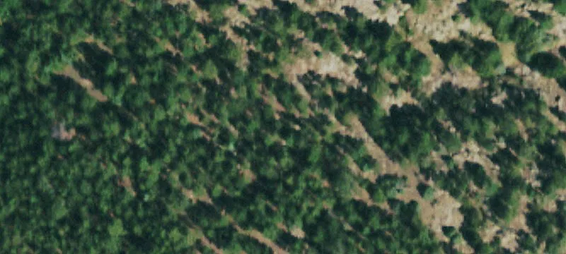 Mountain Land Overlooking Carter Lake