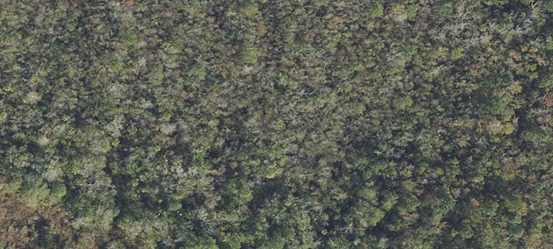 Coastal Homesite in Steinhatchee