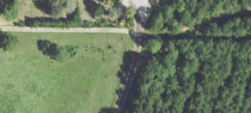 333 Acres with Timber Value